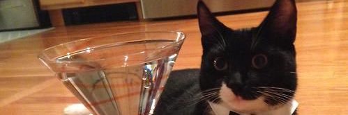 CatBarback banner