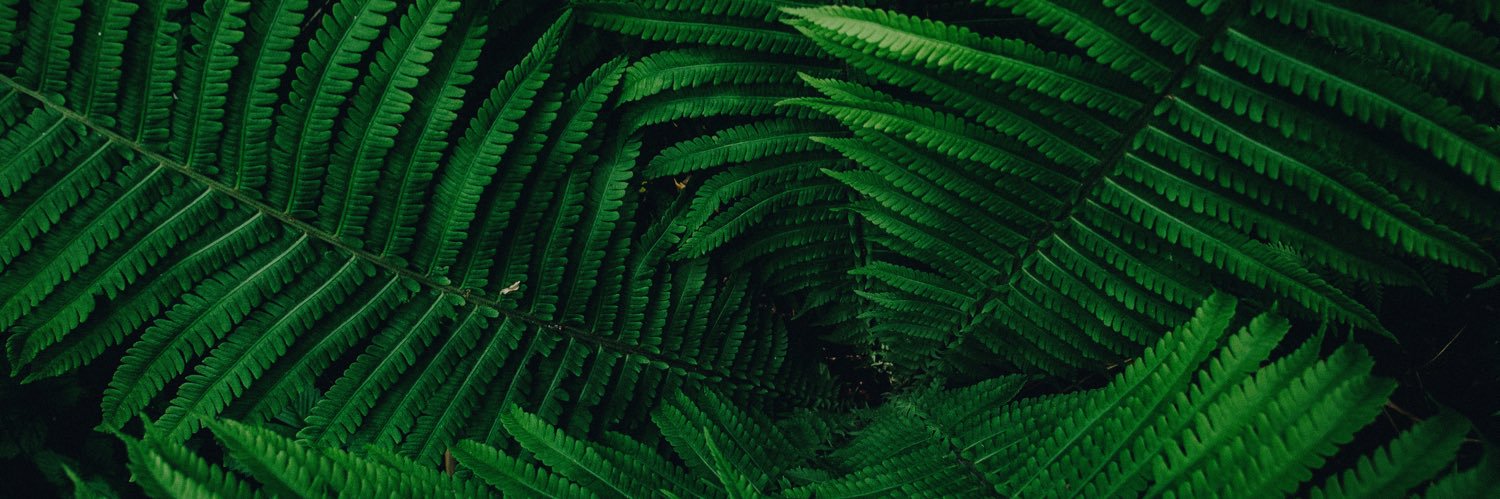 armoniaverdee's profile banner image