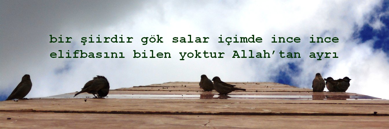 abdulkadirogdum's profile banner image