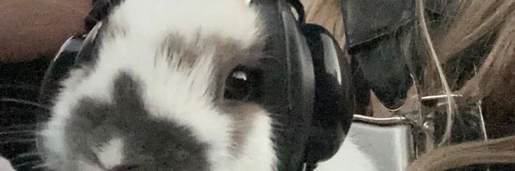 L banner