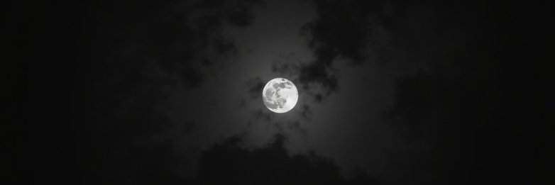 IreneQueen1e's profile banner image