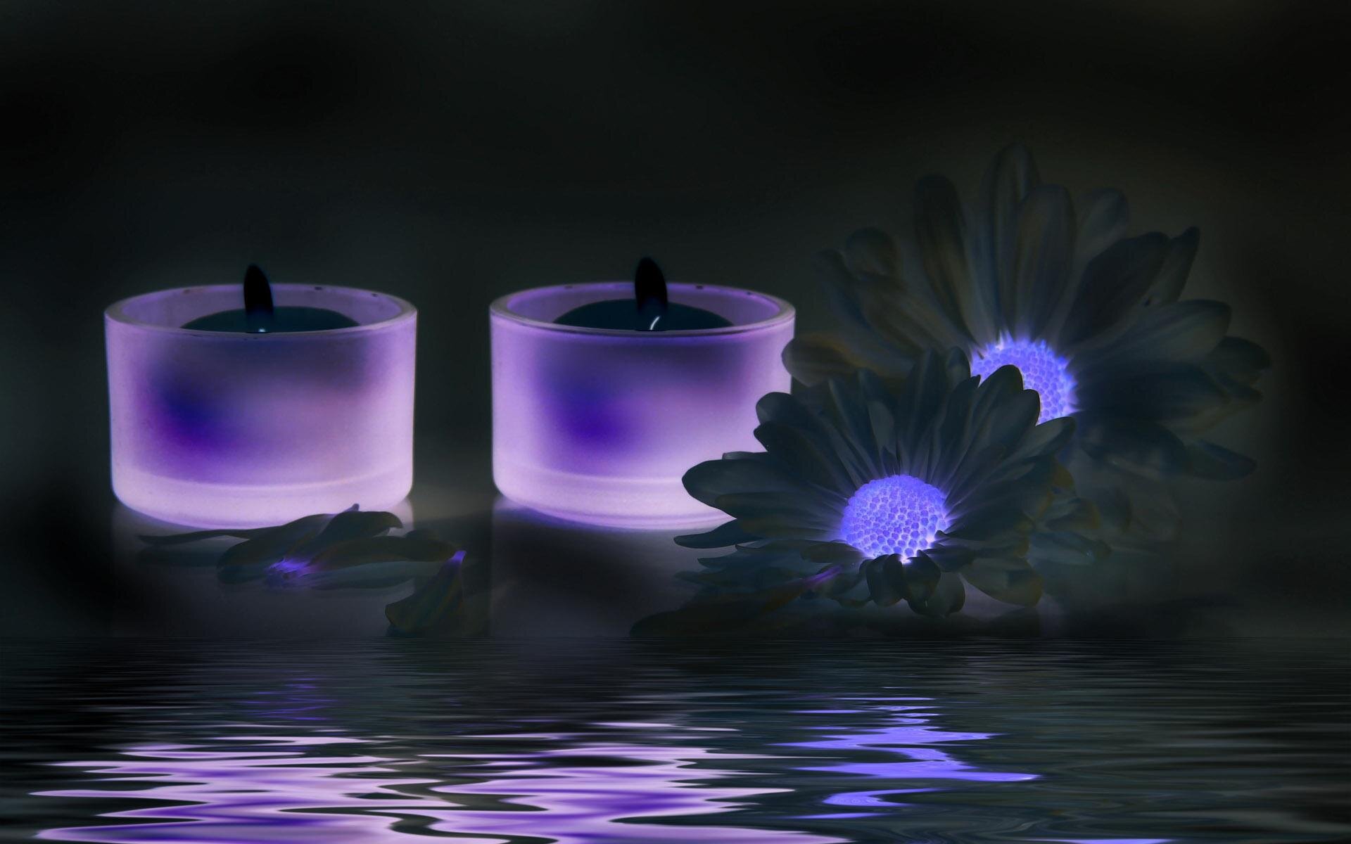 Muslims4Yang's profile banner image