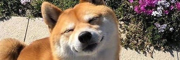 Monke, der Ingenieur banner