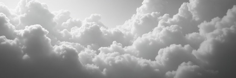 agentActivate's profile banner image
