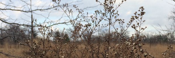 gossy16 Profile Banner