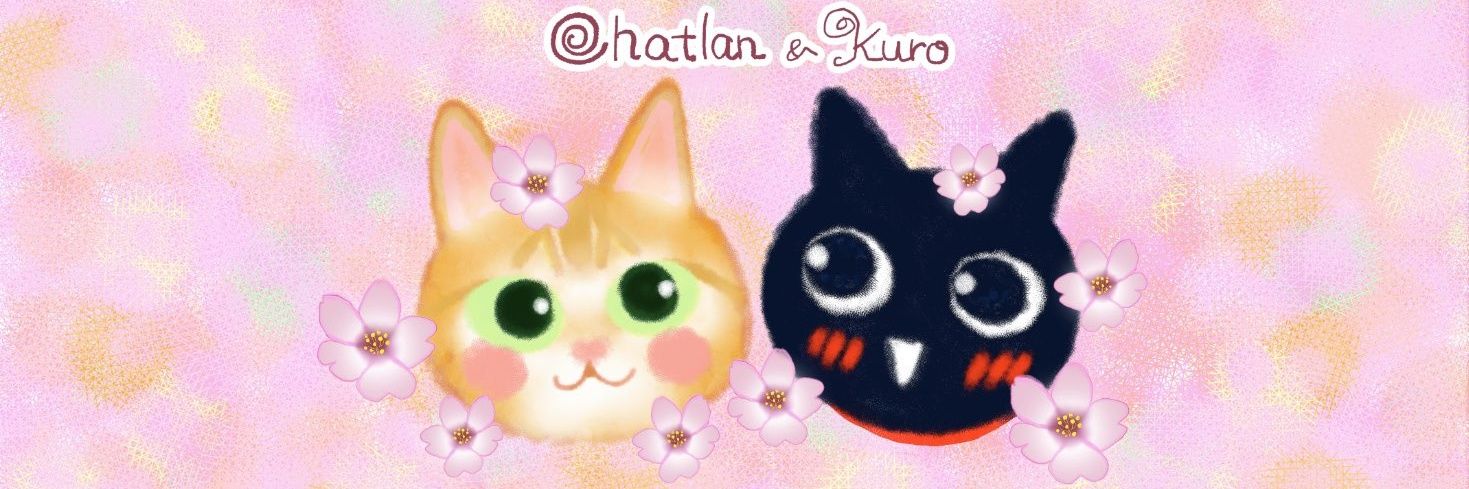 たぬき猫❤DM挨拶不要's banner