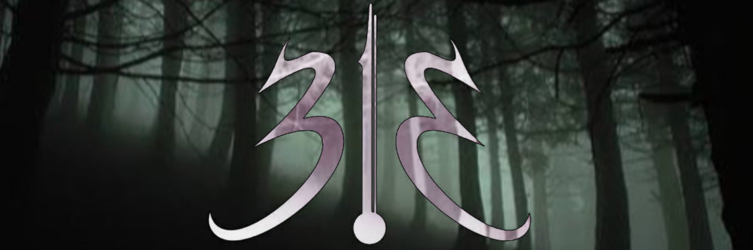 313teamx's profile banner image