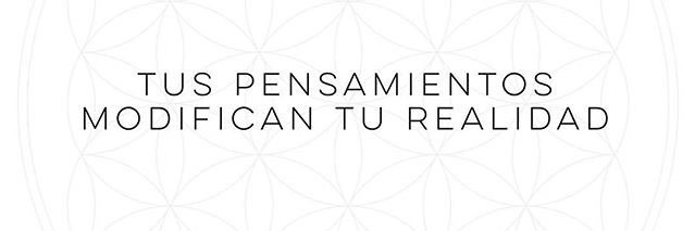 sofmarcovecchio's profile banner image