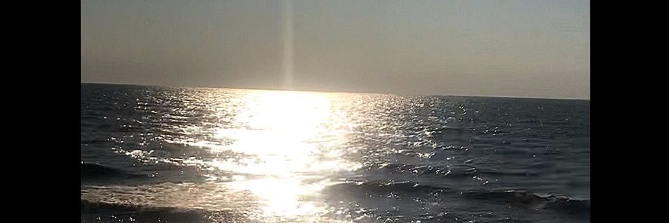 Morgann_01's profile banner image