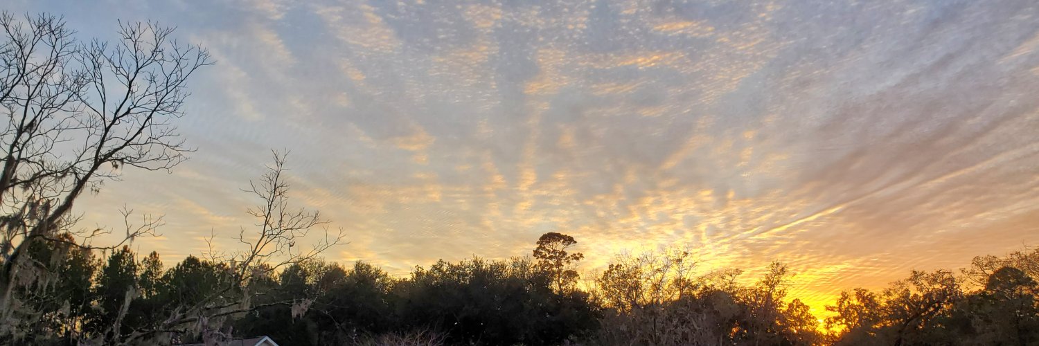 BuzzedPhotography banner