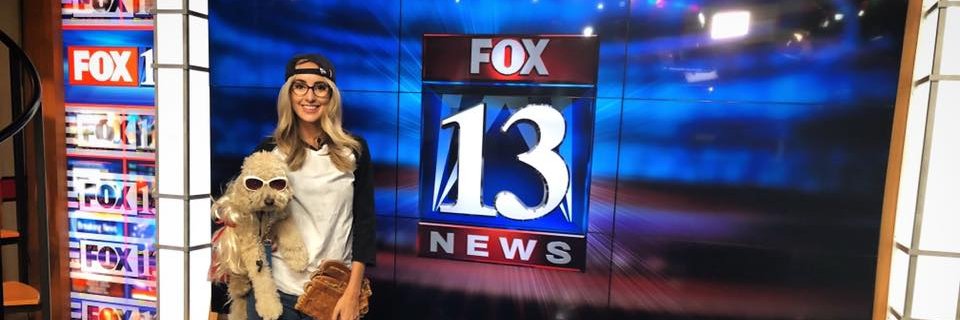 Allison Croghan banner