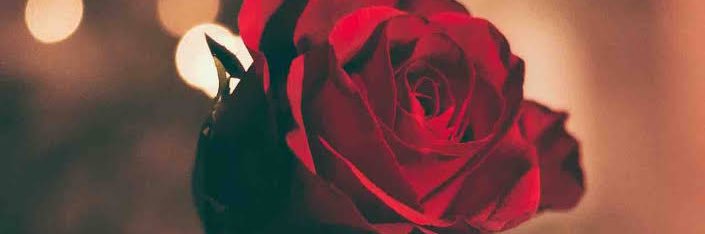 Lippy____'s profile banner image