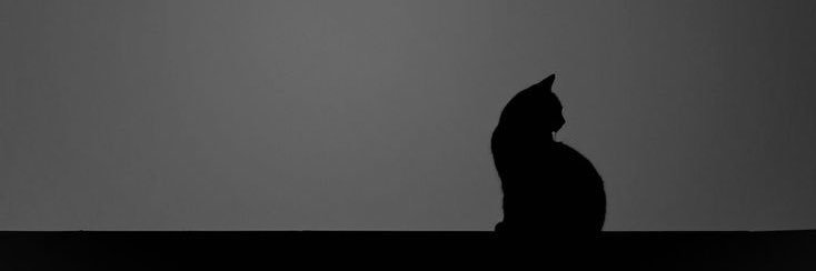 ʀᴜɴᴀ banner