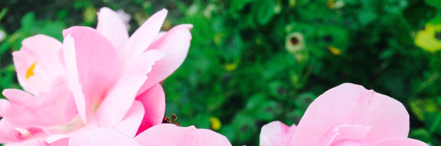 au_vert_'s profile banner image
