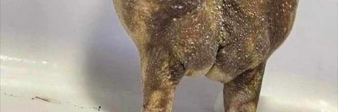 jesstoombs's profile banner image