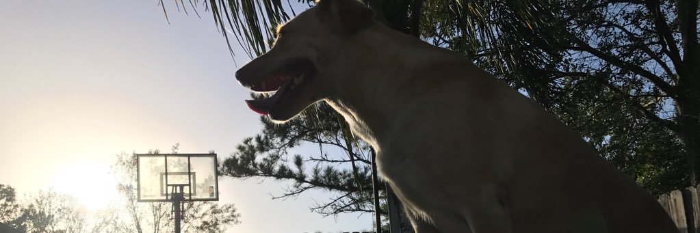 TylerRadigan's profile banner image