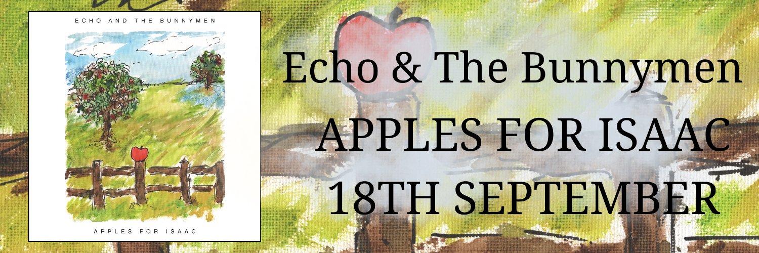Bunnymen's profile banner image