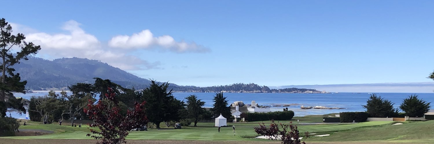 Razorback Fan banner
