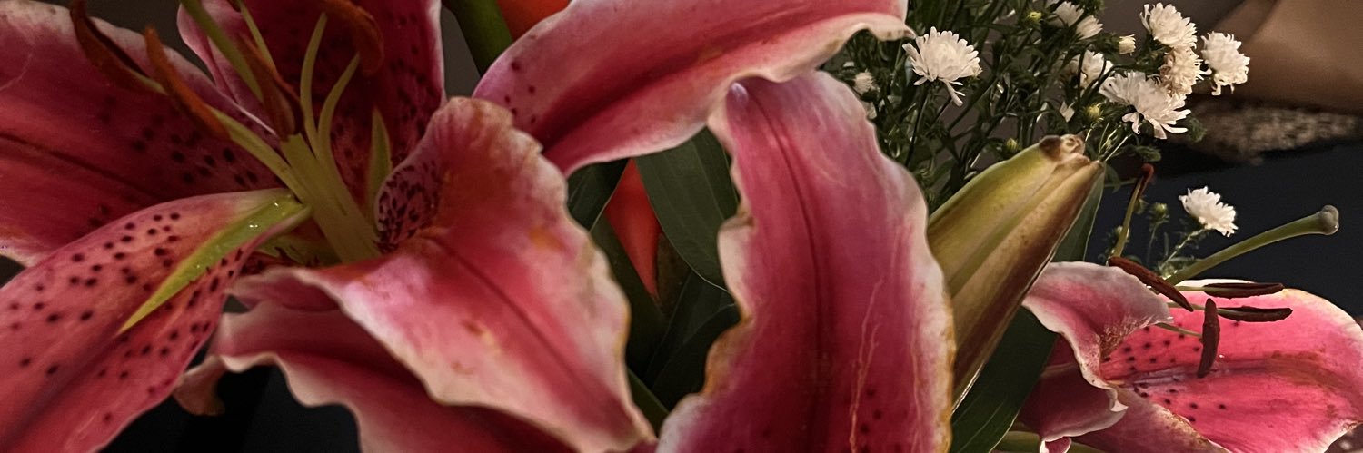 veronnaota's profile banner image