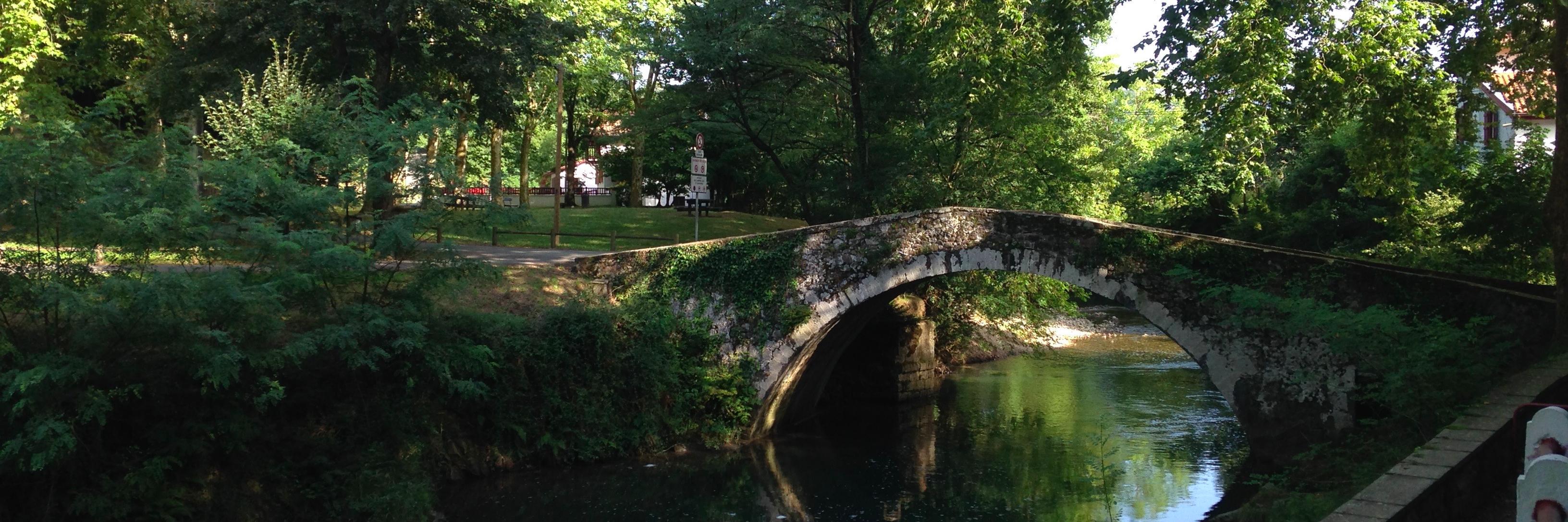 Antonia Carriquiry ʕ•ᴥ•ʔ banner