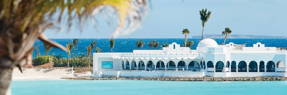 Stacey Liburd banner