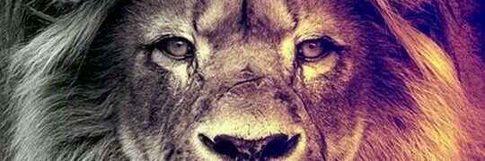 moosmc's profile banner image