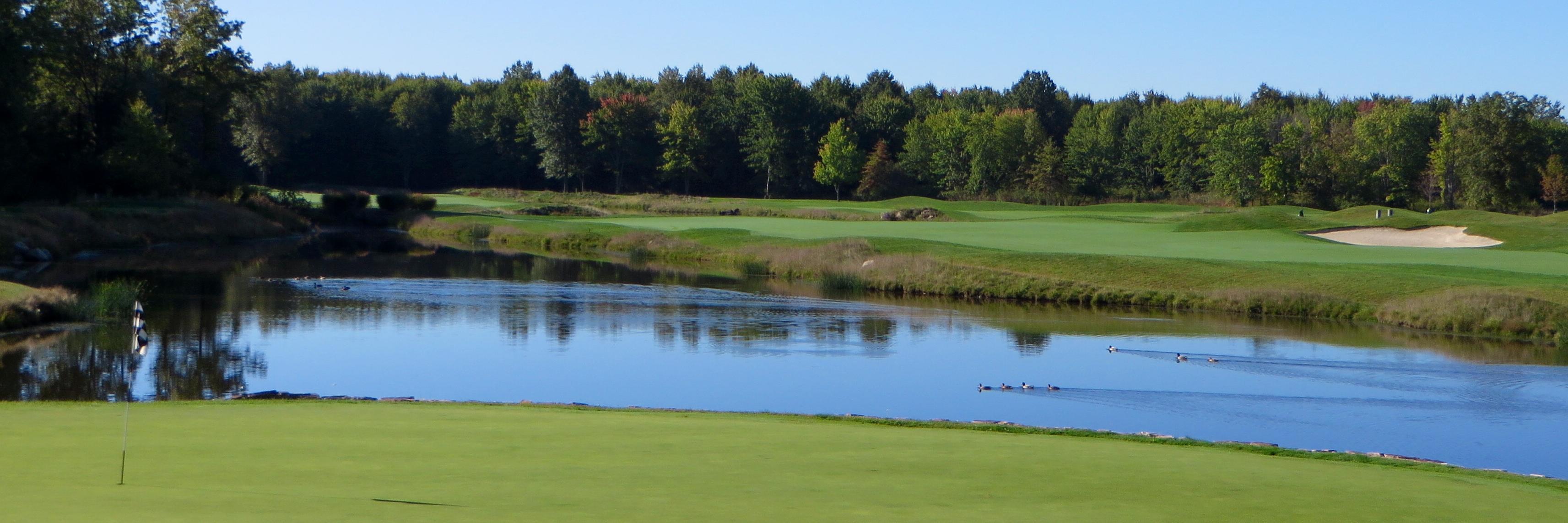 RedTailAvon's profile banner image