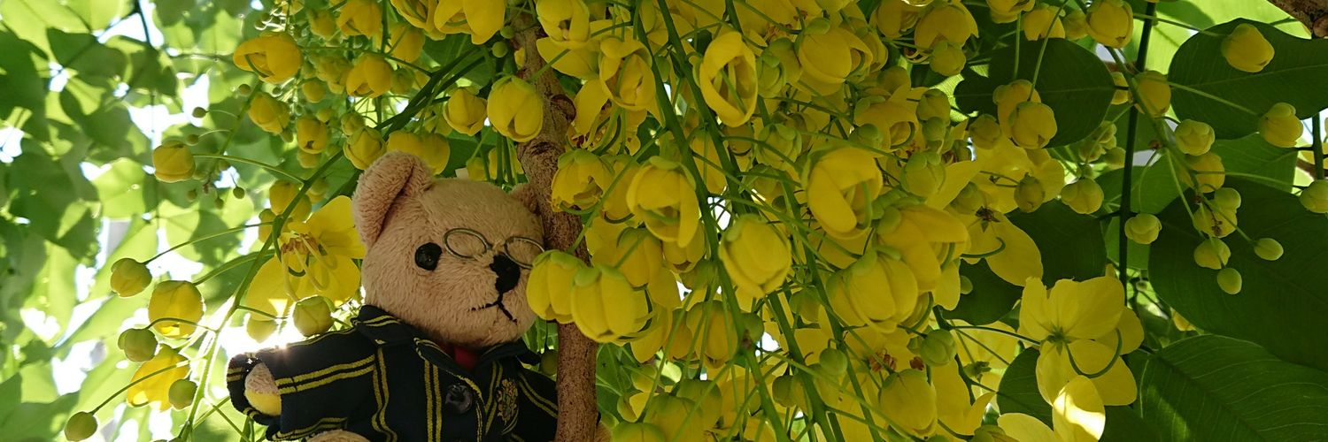 header image