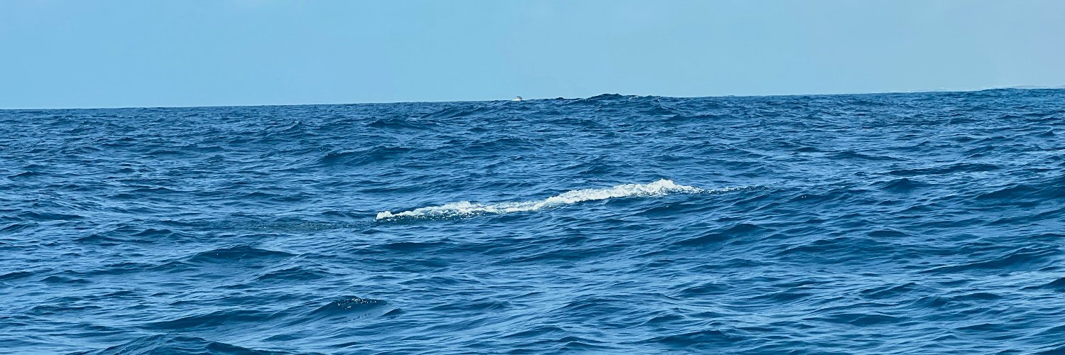 chmchm's profile banner image