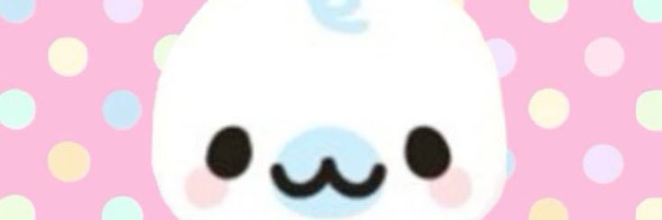 t banner