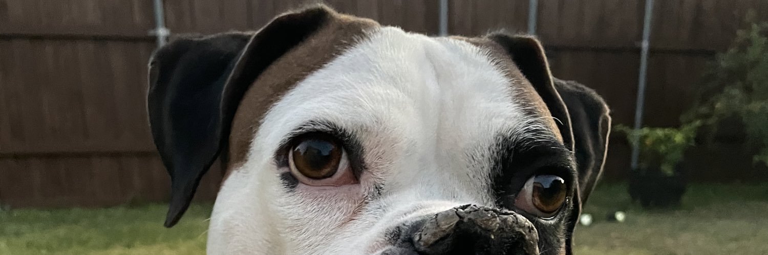 santoslopez__'s profile banner image