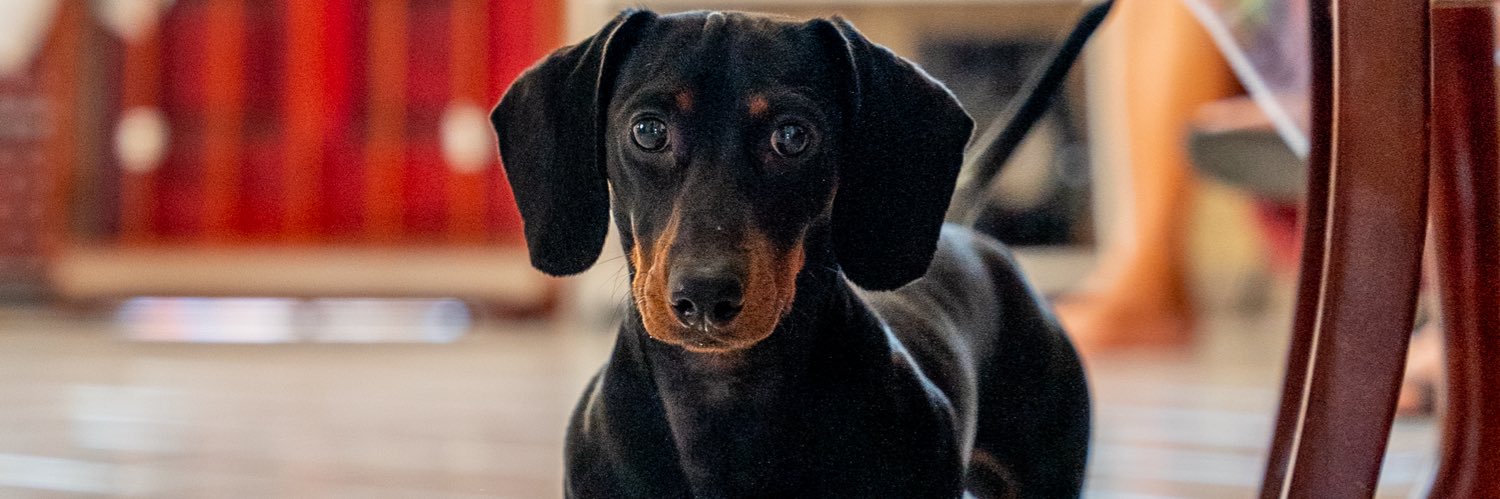 HeyJustAlexis's profile banner image