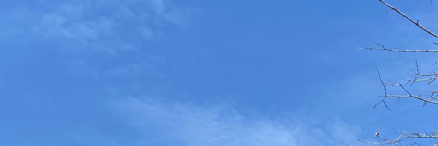 DSEG banner