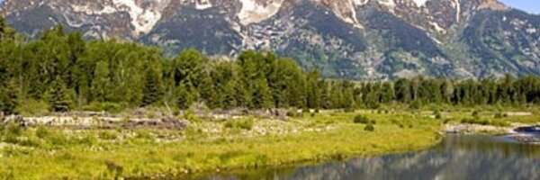 BruceRosard Profile Banner