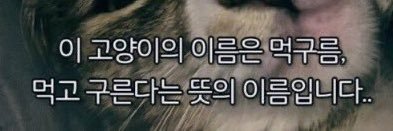 jjyang9910's profile banner image