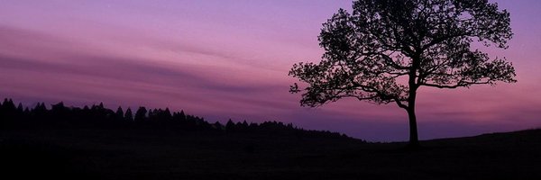 irdh34 Profile Banner