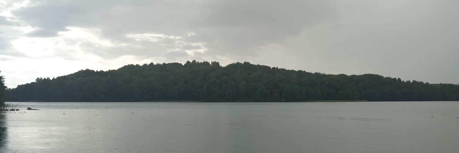 Dzik z jeziora Profile Banner