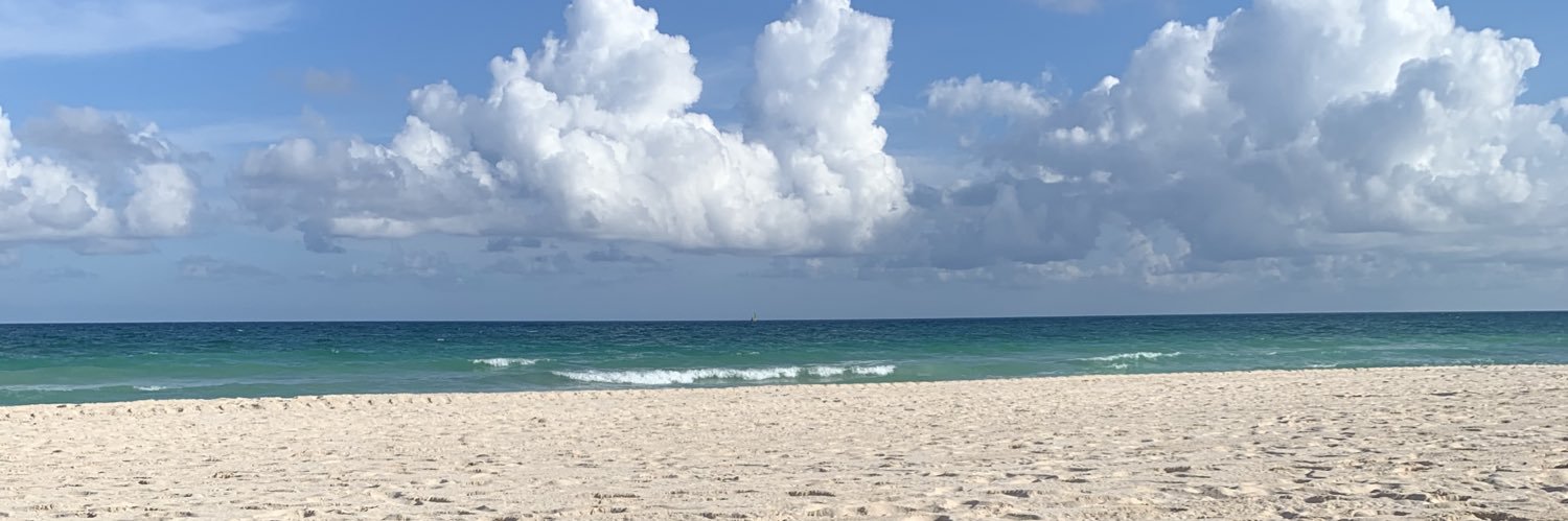 Alan Fi banner
