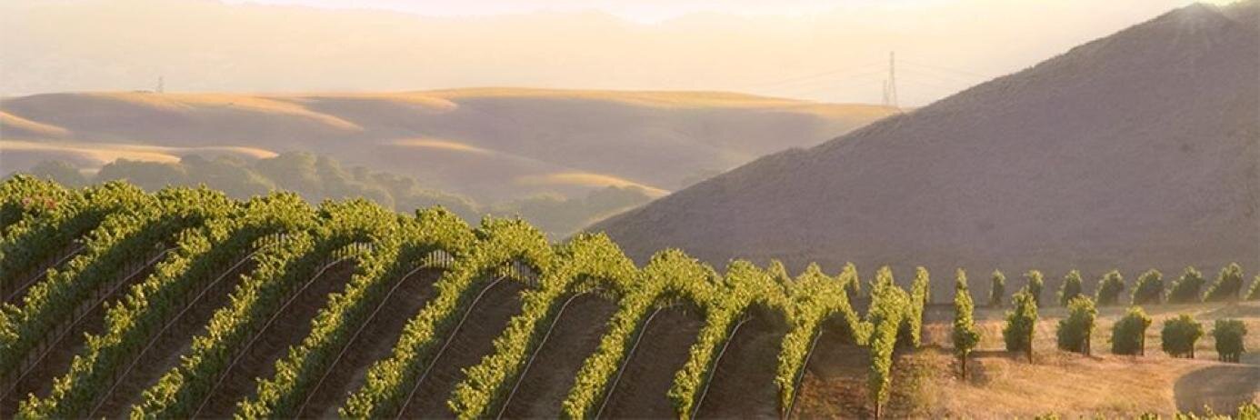 BOLT Staffing banner