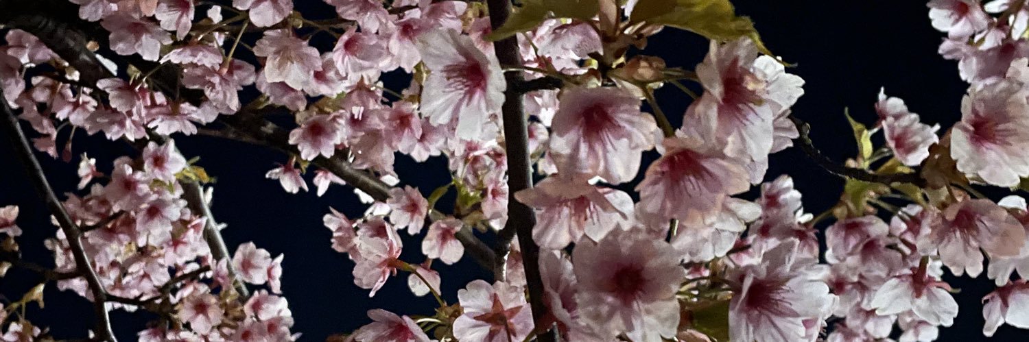 liirnm's profile banner image