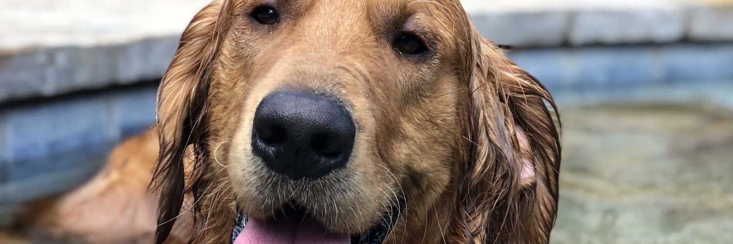 amykenzz's profile banner image