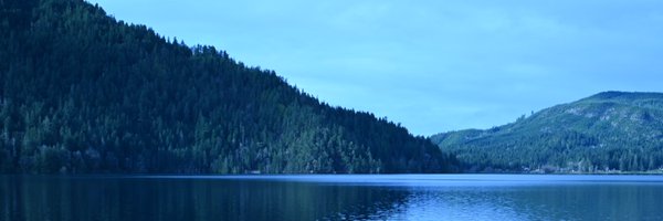 Cumquaaa Profile Banner