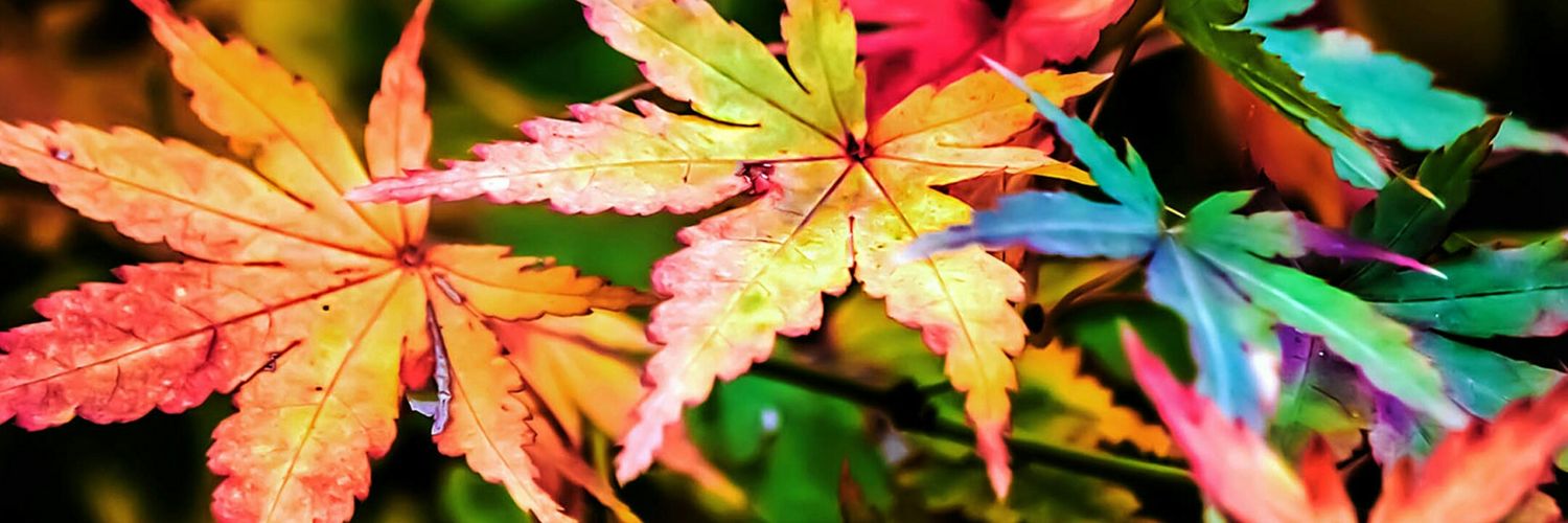 prashantmagar51's profile banner image