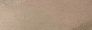 Ellie. banner