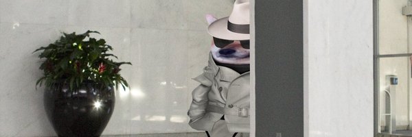 mouw5284 Profile Banner