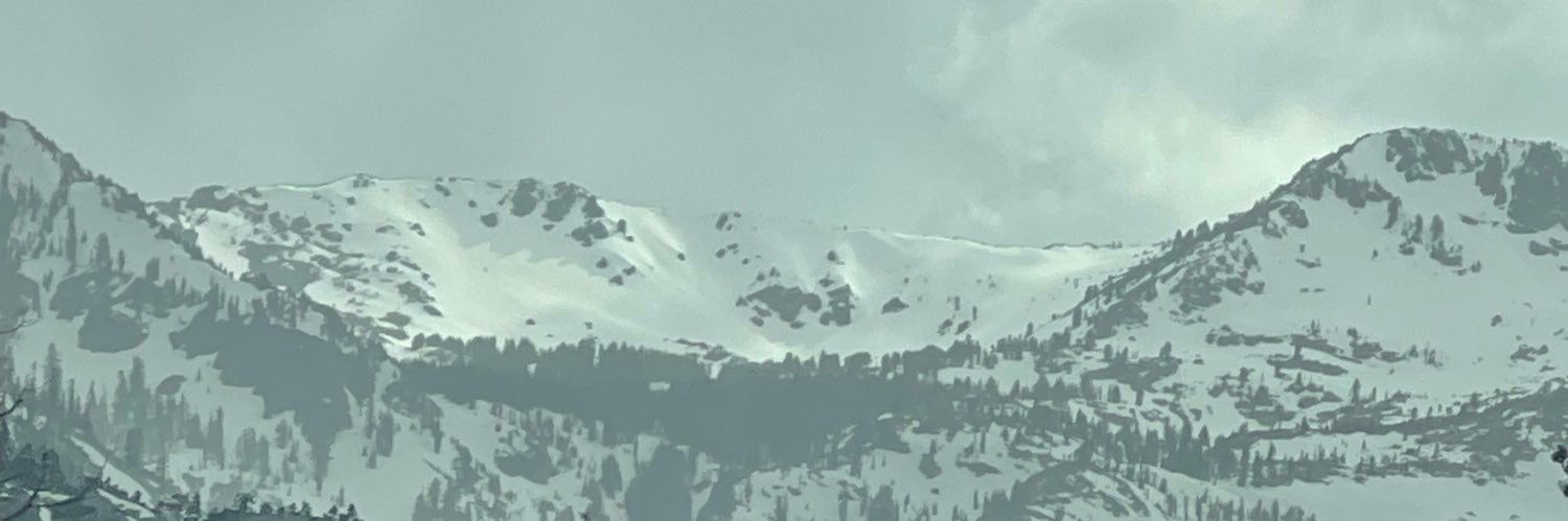 Angelee N Calamia Humble banner