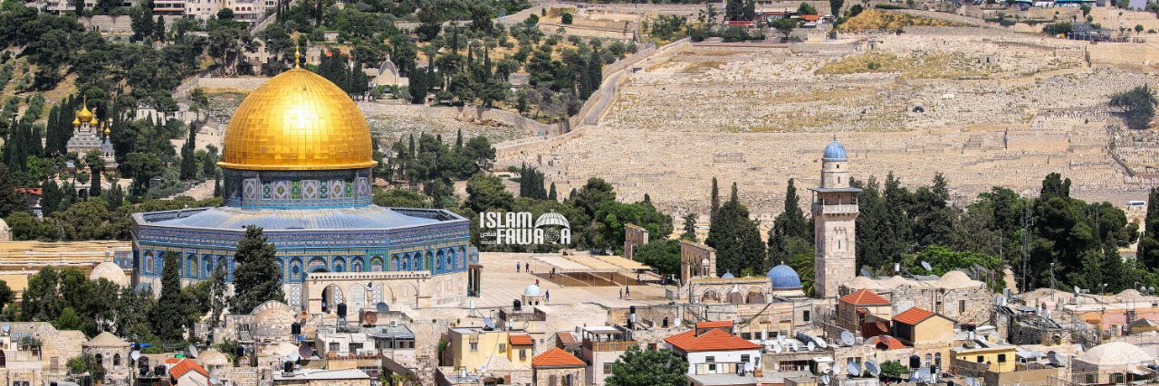 ابراهيم سليمان banner