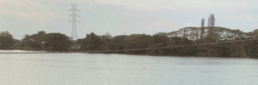 firohhh10's profile banner image