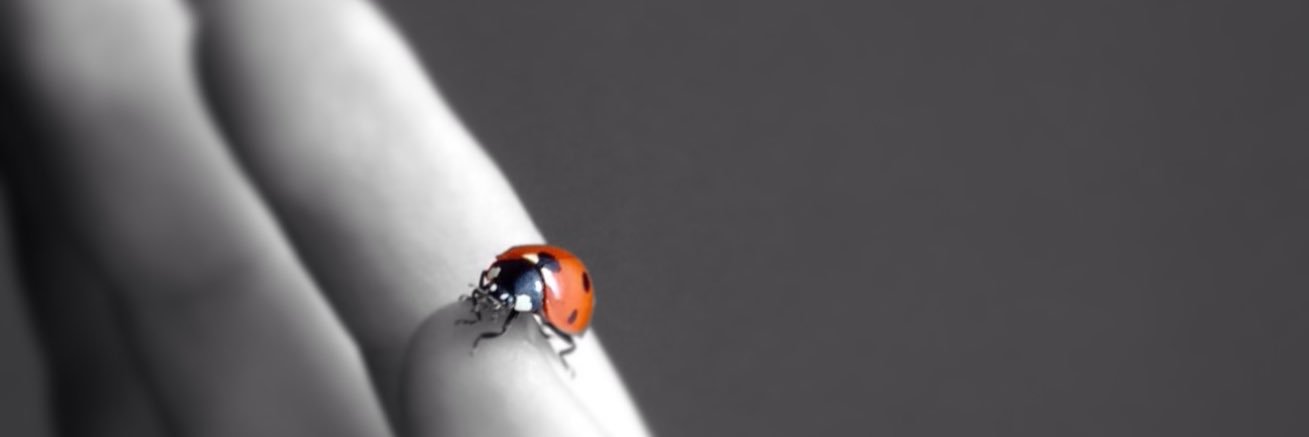 dilekefsi's profile banner image