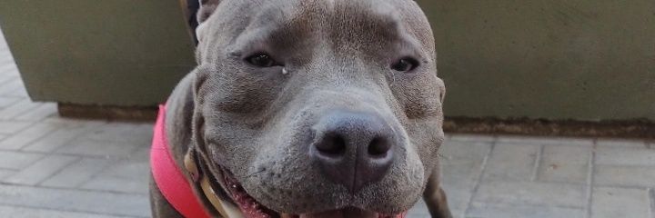 Agustin__21's profile banner image